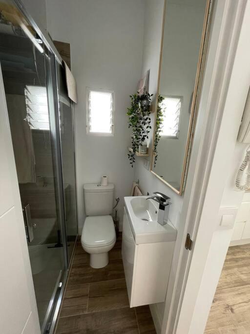 Atico Duplex Con Terraza En Pleno Centro De Jerez Apartment Херес де ла Фронтера Екстериор снимка