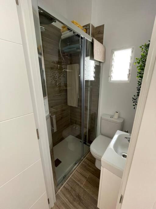 Atico Duplex Con Terraza En Pleno Centro De Jerez Apartment Херес де ла Фронтера Екстериор снимка